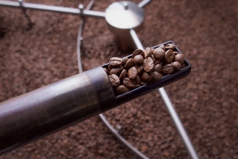 From Prague's Roasting Cellars to Your Cup: What Czech Dark Roast Traditions Are Teaching American Coffee Lovers